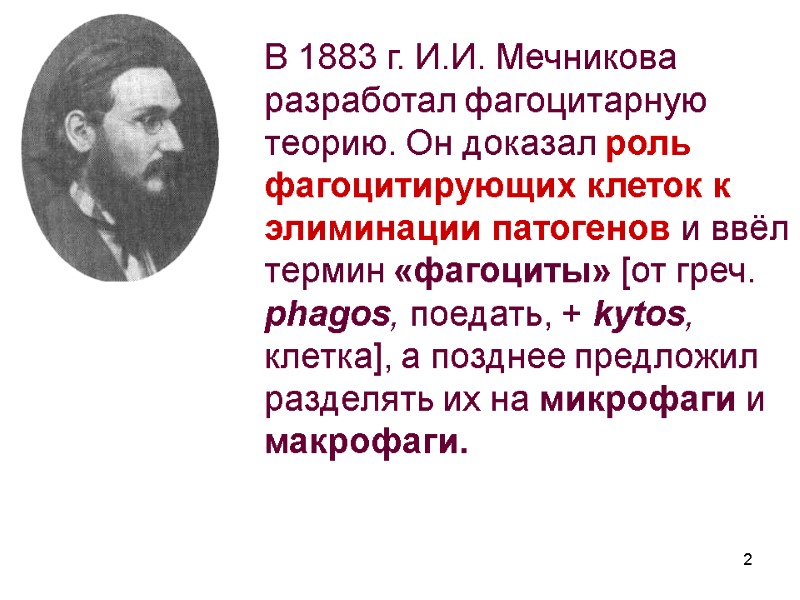 В 1883 г. И.И. Мечникова разработал фагоцитарную теорию. Он доказал роль фагоцитирующих клеток к